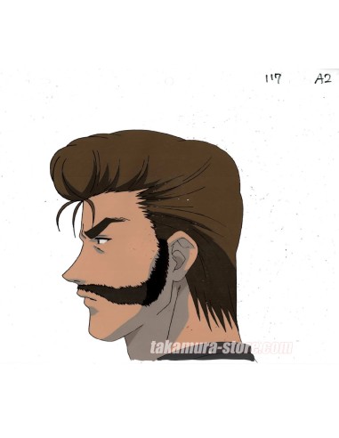 Hunter X Hunter celluloid