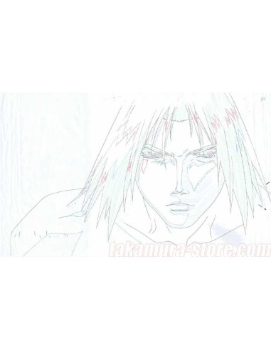 Project arms_006_anime cel