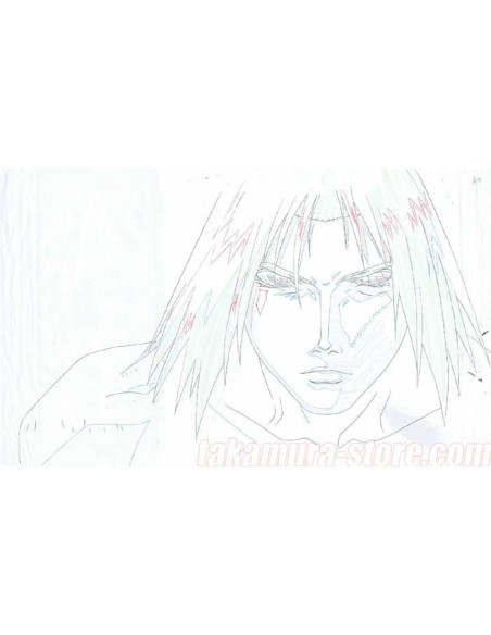 Project arms_006_anime cel