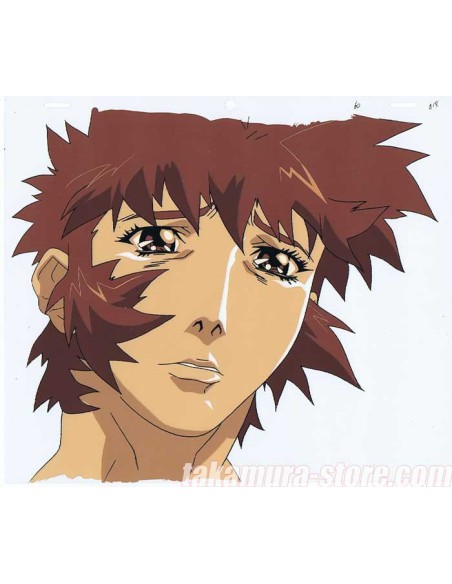 Project arms_007_anime cel