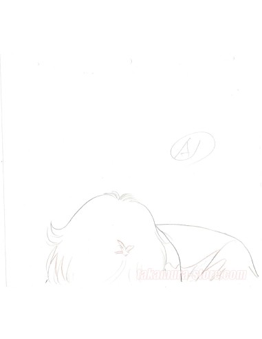 Sailor Moon Crayonné