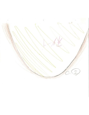 Gall Force crayonné