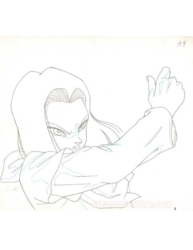 Dragon Ball Z original sketch