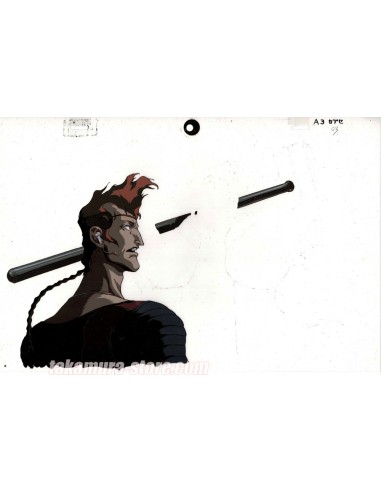 Vampire Hunter D: Bloodlust  celluloïd
