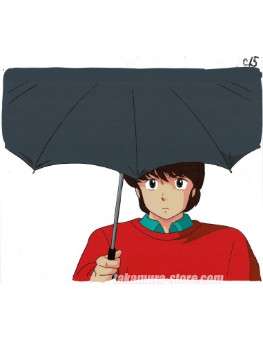 Maison Ikkoku anime cel