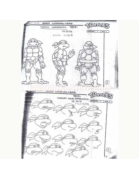 Teenage Mutant Ninja Turtles character setting