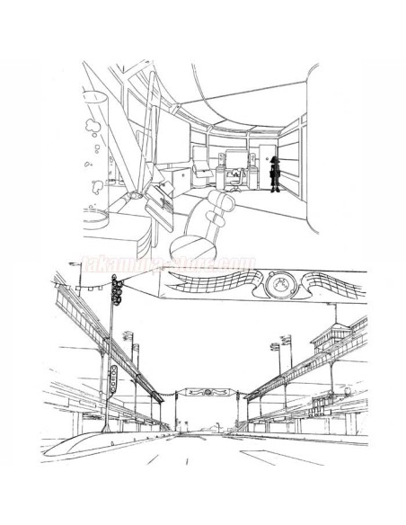 Molly Star Race Décors 