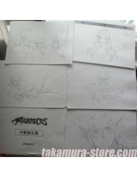 Setting-Cosmocat nouveau