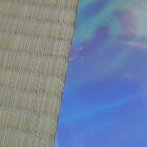 Poster Royal Space Force: The Wings of Honnêamise