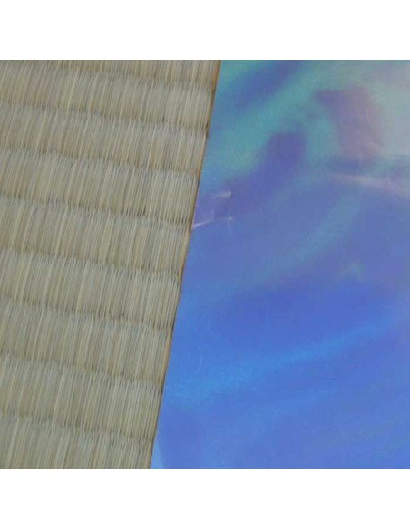 Poster Royal Space Force: The Wings of Honnêamise Poster Royal Space Force: The Wings of Honnêamise