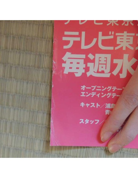 Poster Love Hina Poster Love Hina