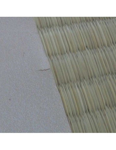 Poster Maison Ikkoku