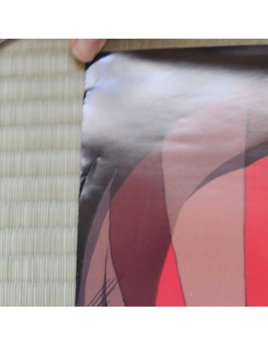 Poster Street Fighter 2 film