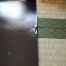 Poster Saint Seiya Warriors of the Final Holy Battle 2