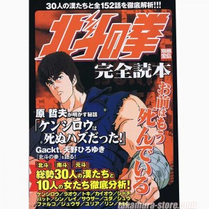 Hokuto no Ken Perfect Guide book