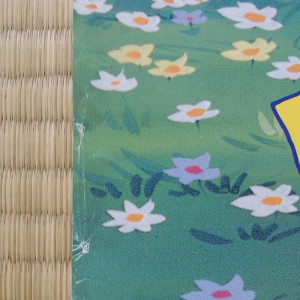 Anime Sanjushi Poster 