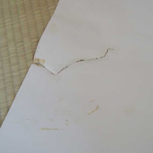 Poster Chateau de Cagliostro