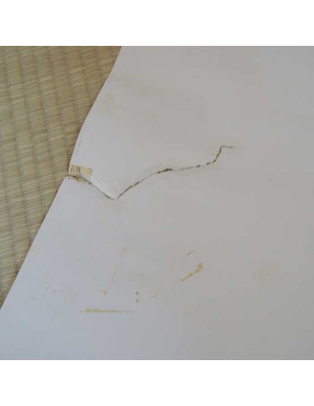 Poster Chateau de Cagliostro