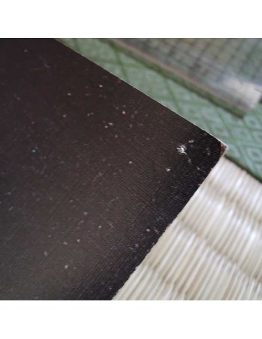 Poster anime My youth in Arcadia 