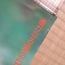 Princesse Millenium poster 2