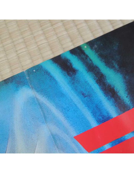 Princesse Millenium poster