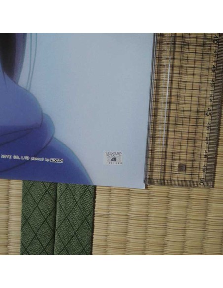 Poster Maison Ikkoku