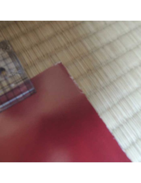 Dragon Ball Z Poster