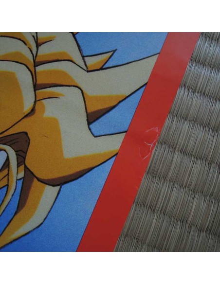 Dragon Ball Z Poster