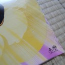 Dragon Ball Z Poster 2