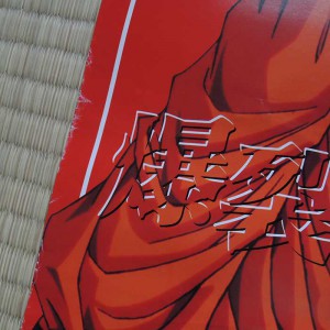 Dragon Ball Z Poster