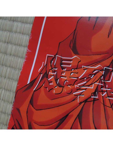 Dragon Ball Z Poster