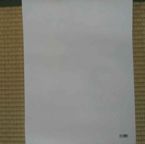 Dragon Ball Z Poster