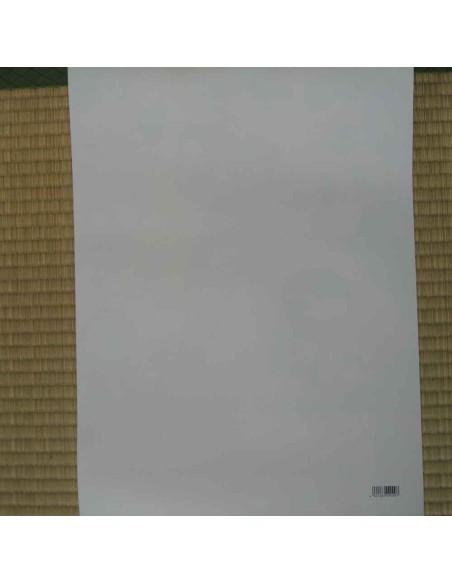 Dragon Ball Z Poster Dragon Ball Z Poster