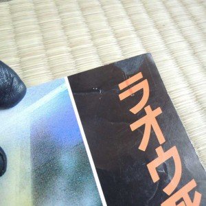 Hokuto No Ken Poster