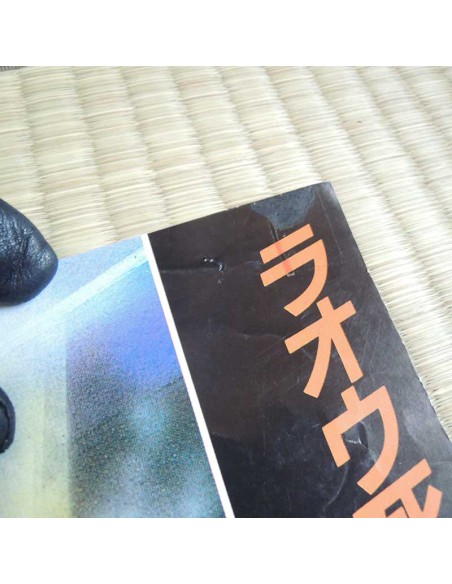 Hokuto No Ken Poster 