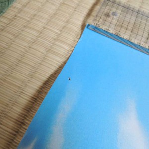Yuyu Hakusho LD box Poster