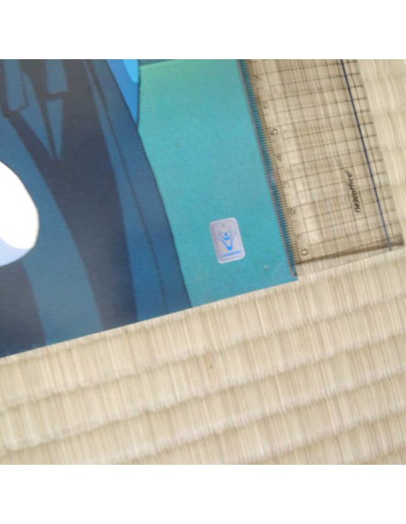 Yuyu Hakusho LD box Poster 