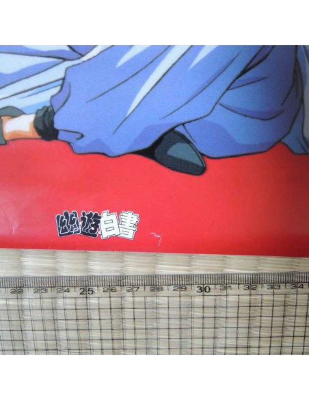 Yuyu Hakusho LD box Poster 