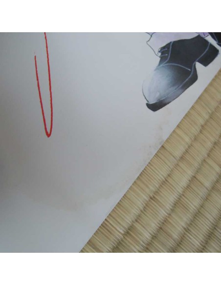 Bronze Poster  Bronze Poster