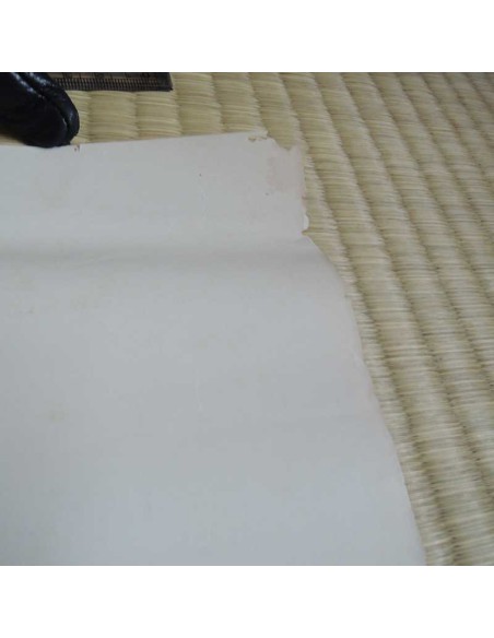 Gundam counter attack ps1 poster Gundam counter attack ps1 poster