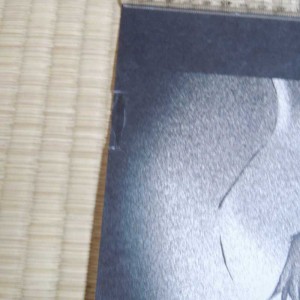 Cowboy Bebop DVD poster