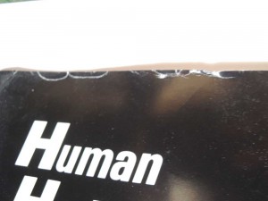 Record of Lodoss poster