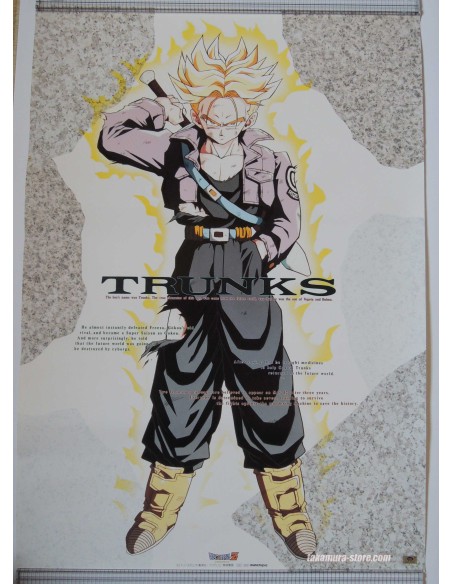 Dragon Ball Z Poster