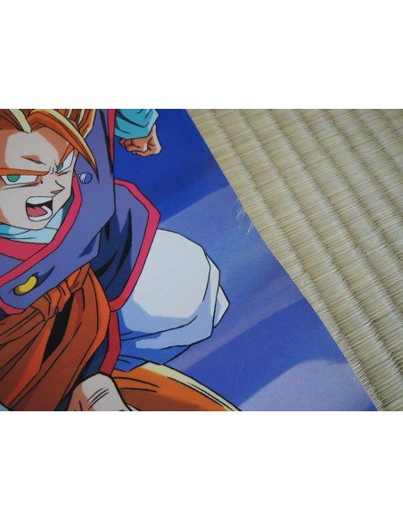 Dragon Ball Z Poster