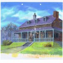 Swiss Family Robinson_002 anime cel 2