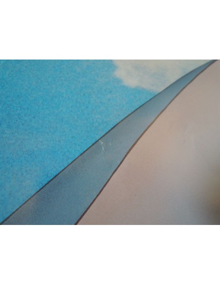 Walt Disney poster Walt Disney poster