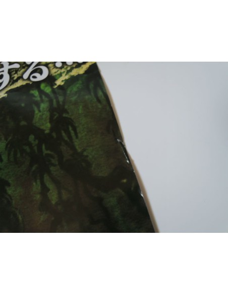 Walt Disney poster Walt Disney poster