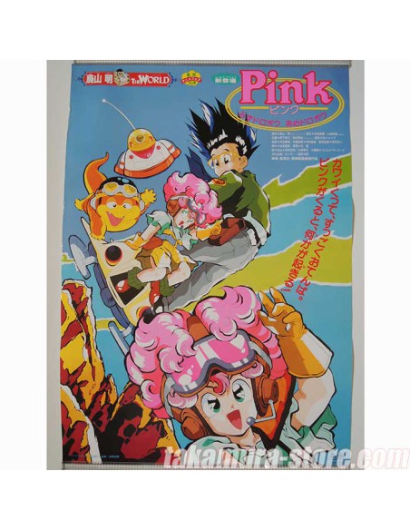 Dragon Ball Z Poster