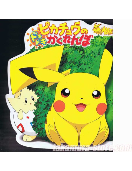 Pamphlet