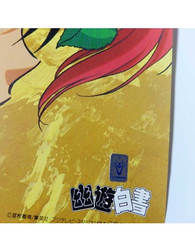 Yuyu Hakusho Poster 